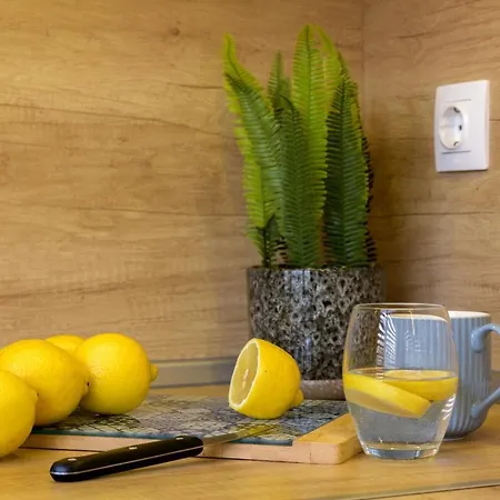 Chayka Comfort * Varna