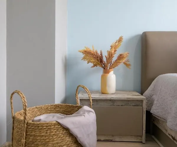 Chayka Comfort * Varna