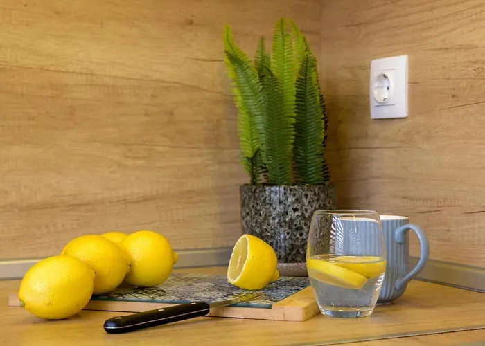 Chayka Comfort * فارنا