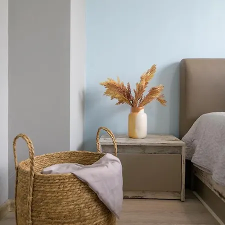 Chayka Comfort * Varna